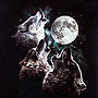 3wolfmoon