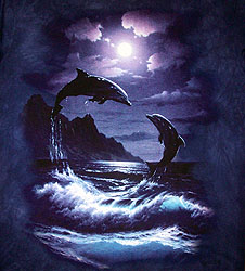 Dolphins in Moonlight