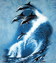 Waverider Dolpins