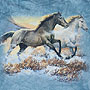 Horses Snow
