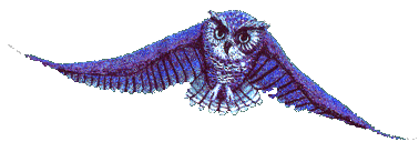 flying owl