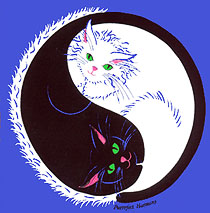 kitty ying yang