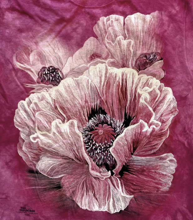 Poppies