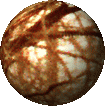 Click to make Planet Tree rotate!