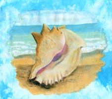 Shell