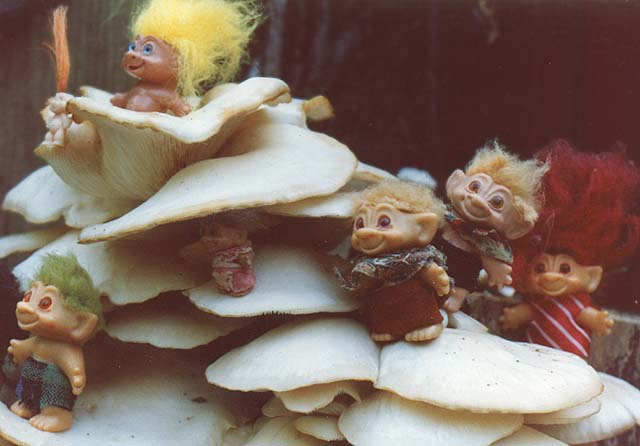 close-up of trolls