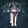 Wolf Moon